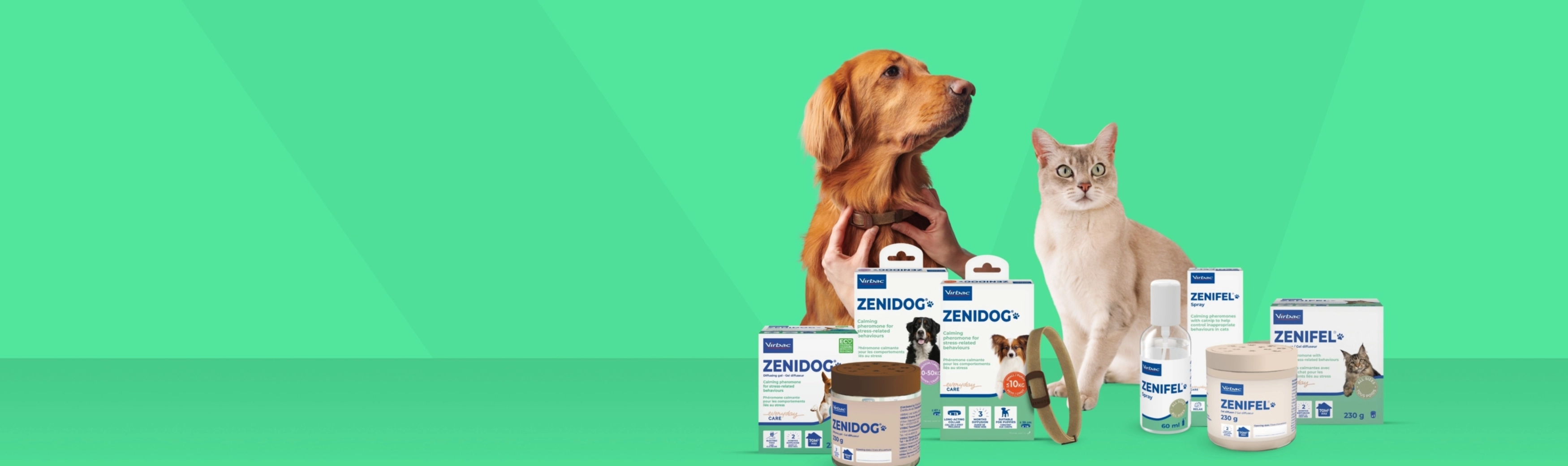 Zenifel-Zenidog
