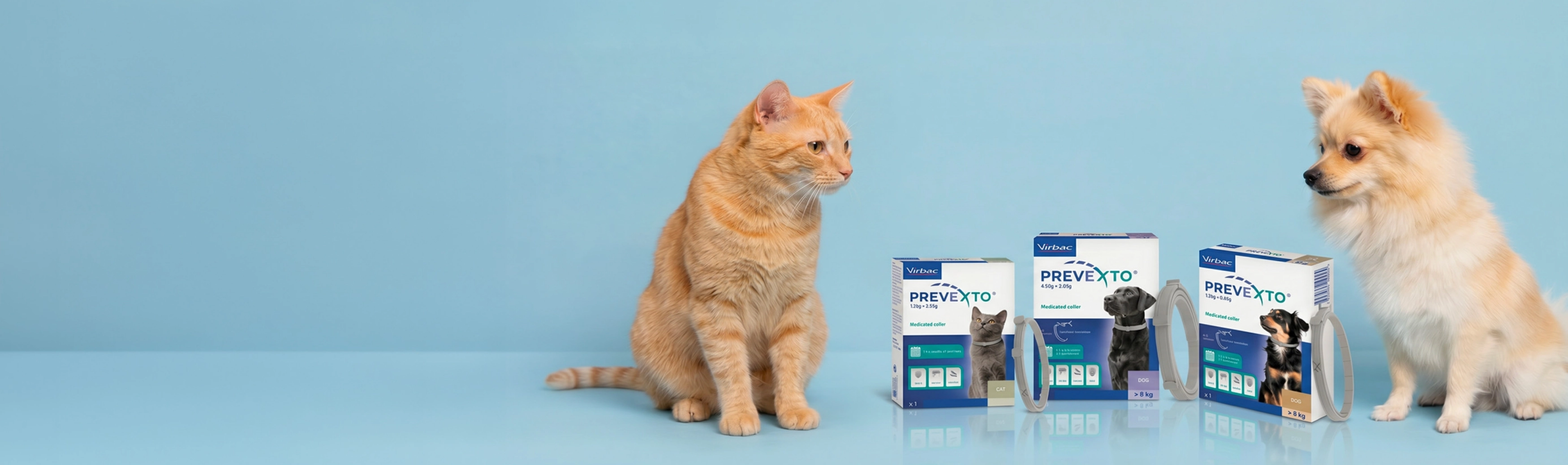Banner-Prevexto-cat-dog