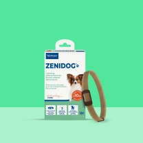 NL_Zenidog-Collar_Unity-visual_1_2026.jpg