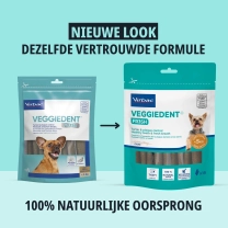 NL_VEGGIEDENT-FR3SH_Transition-visuals_1_2026.jpg
