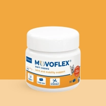 NL_Movoflex-dog_Unity-visual_1_2026.jpg