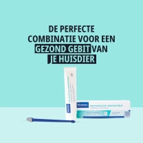 NL_Dual-Ended-Toothbrush_Unity-visual_2_26.jpg