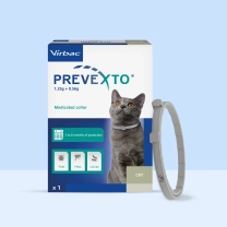 NL_Prevexto-Kat_Unity-visual_1_2026.jpg