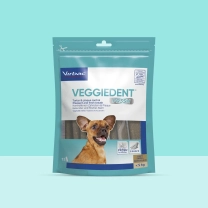 NL_Veggiedent-Fr3sh_Unity-visual_7_2026.jpg