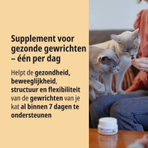 NL_Movoflex-cat_Unity-visual_2_2026.jpg