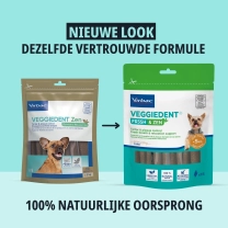 NL_VEGGIEDENT-FR3SHZEN_Transition-visuals_1_2026.jpg