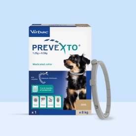 Prevexto dog