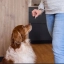 Nl_Floragest-dog_Unity-visual_6_2026.jpg