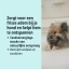 NL_VEGGIEDENT-FR3SHZEN_Transition-visuals_3_2026.jpg