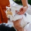 NL_Prevexto-Kat_Unity-visual_4_2026.jpg