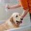 NL_Allerdem-Shampoo-Normal-Skin_Unity-visual_5_2026.jpg