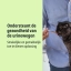 NL_Feluro_Unity-visual_2_2026.jpg