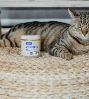 Cat_Zenigel Gel_lying and sleeping_alone_advice
